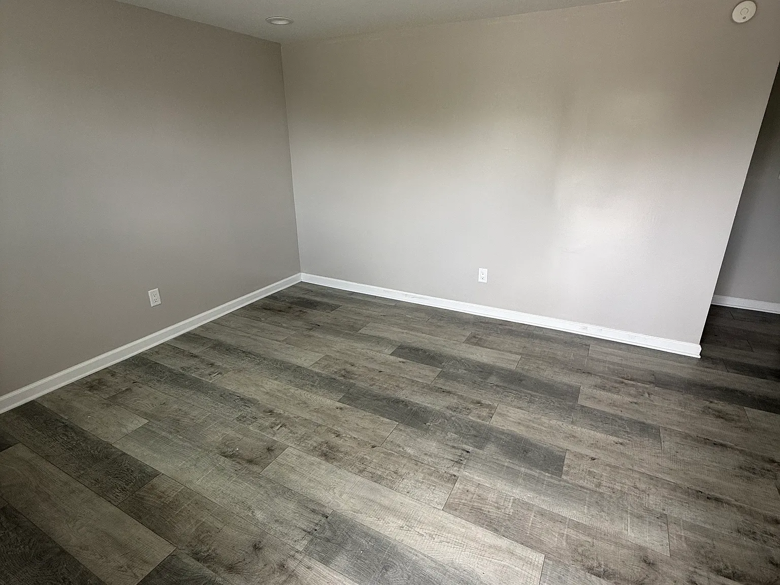 1 bed, $700 — Photo 4