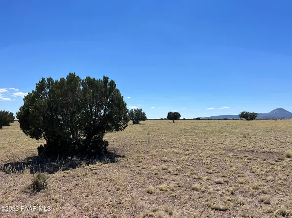 269 Off Of Antelope Run Rd, Ash Fork, AZ 86320