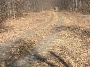 0 Potter Mountain Rd #6, Preston Hollow, NY 12469