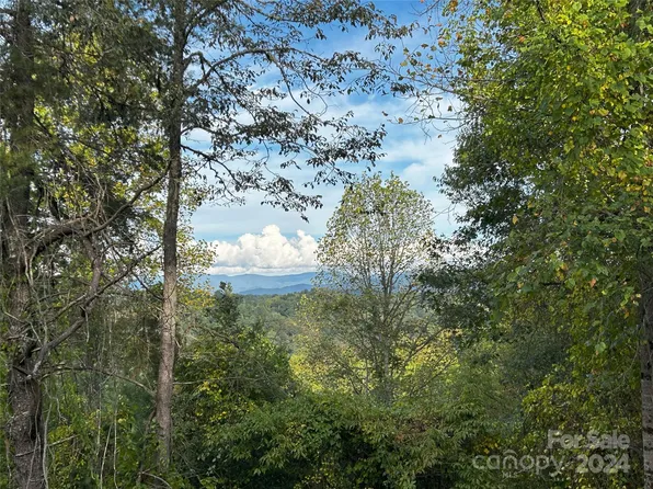 Cabin Hollow Dr #11, Marshall, NC 28753