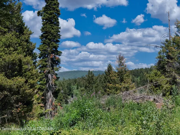 3642 Sorensen Creek Dr #1, Victor, ID 83455