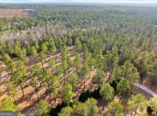 0 Twin Forks Rd, Pembroke, GA 31321