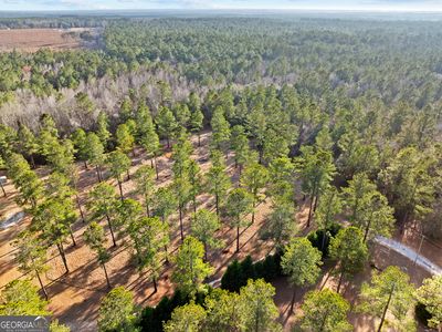 0 Twin Forks Rd, Pembroke, GA, 31321