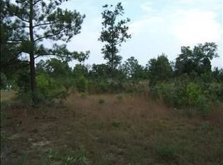 333 Green Hills Dr, Gilbert, SC 29054