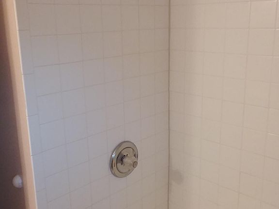 Shower/bathtub. La ducha/ba_era.