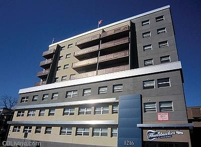 The modern Humbucker