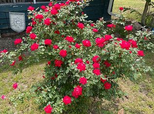 178 Jones Rd, Moncure, NC 27559