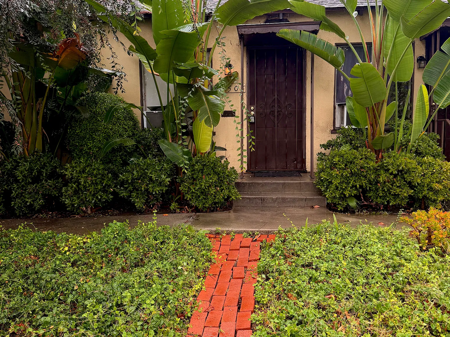 Studio, $1,695 — Photo 4