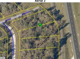 0 Cave Swallow Rd, Brooksville, FL 34614