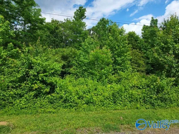 LOT Dolphin Point Dr, Langston, AL 35755