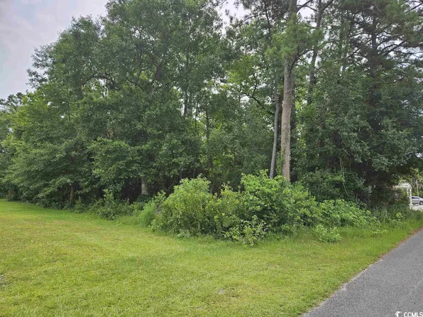 TBD Elizabeth Dr., Georgetown, SC 29440