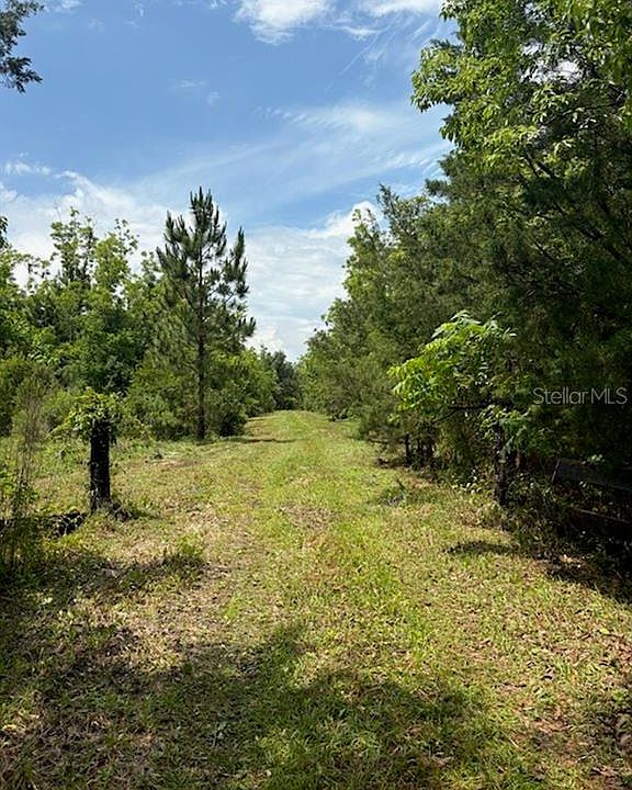 1st image of 459 COUNTY ROAD 2006 E
