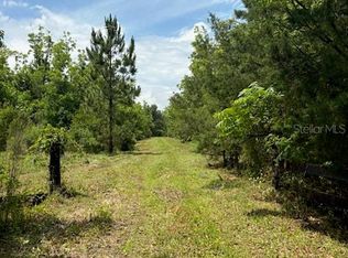 459 County Road 2006 E, Bunnell, FL 32110