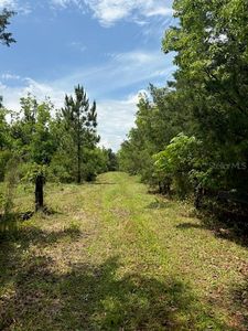 459 COUNTY ROAD 2006 E, Bunnell, FL, 32110