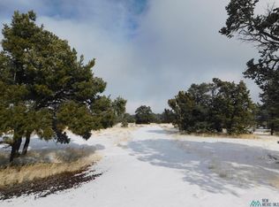 28 Spring Canyon Cir, Quemado, NM 87829
