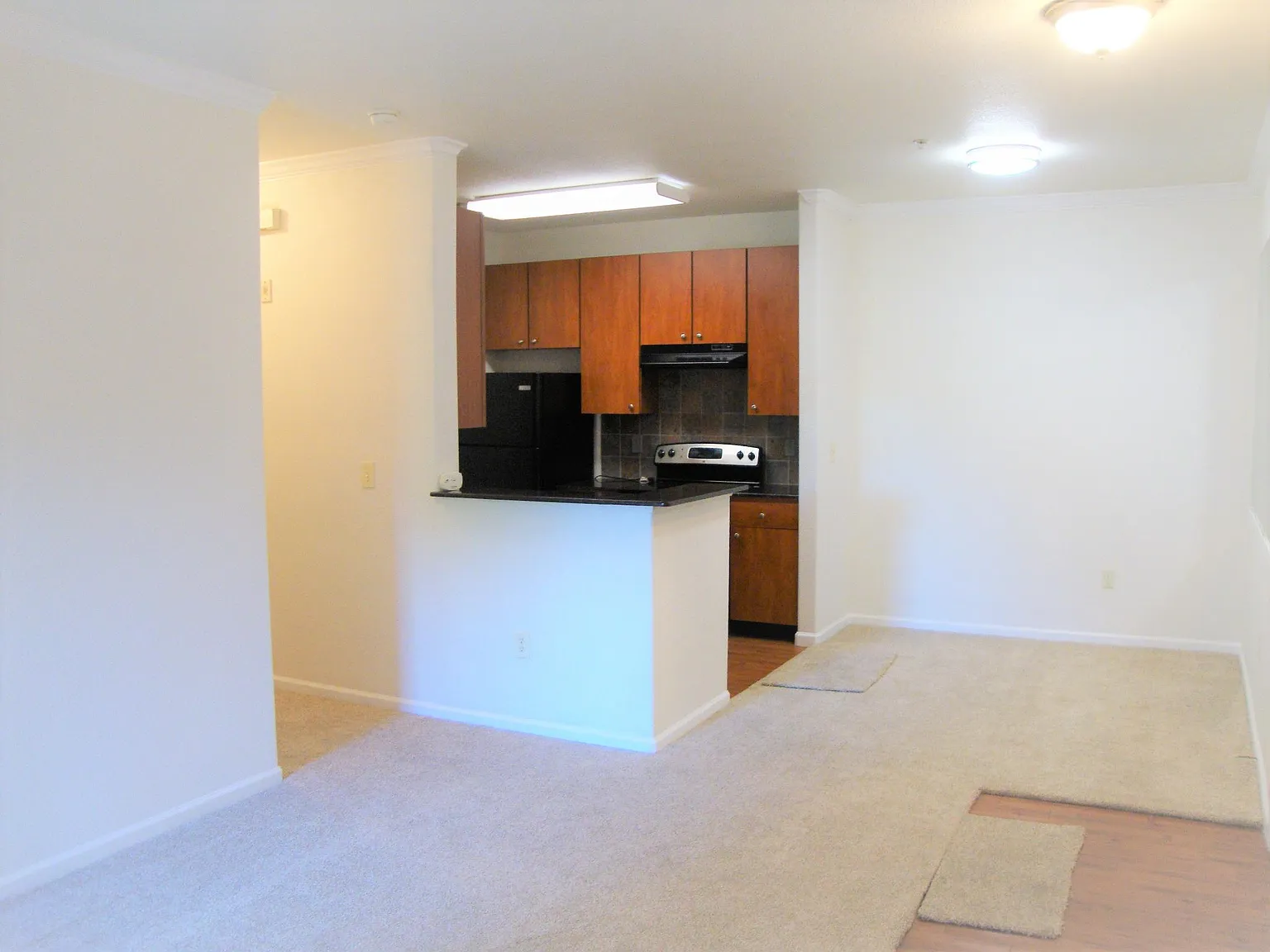 2 bed, 920 sqft, $1,895 — Photo 3