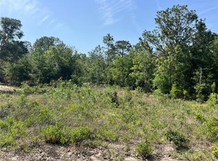 15151 NE 3rd Pl LOT 24, Williston, FL 32696