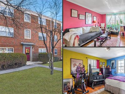 5228 8th Rd S APT 6, Arlington, VA, 22204