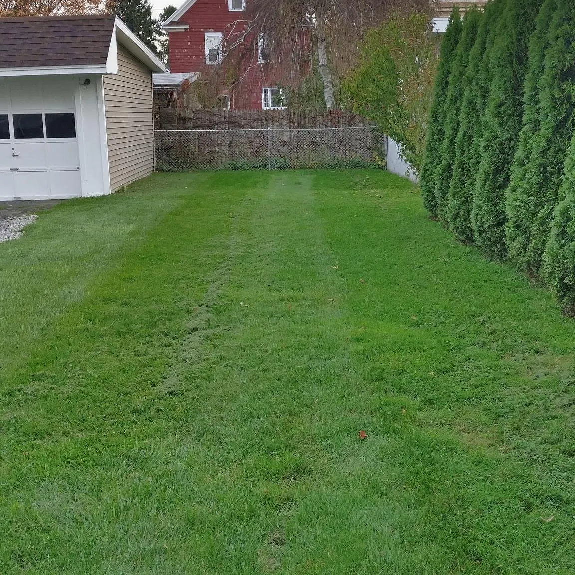 2 bed, 800 sqft, $980 — Photo 4