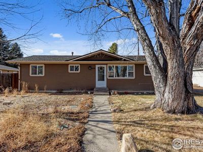 509 Albany Ave, Loveland, CO, 80537