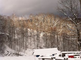 3617 Veterans Rd, Tannersville, VA 24377