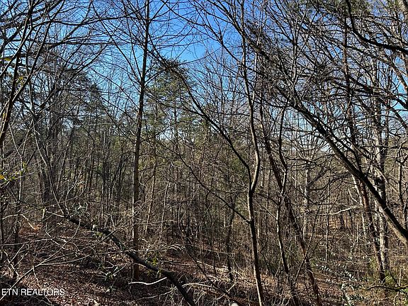 3rd image of 5737 Rest Camp Rd