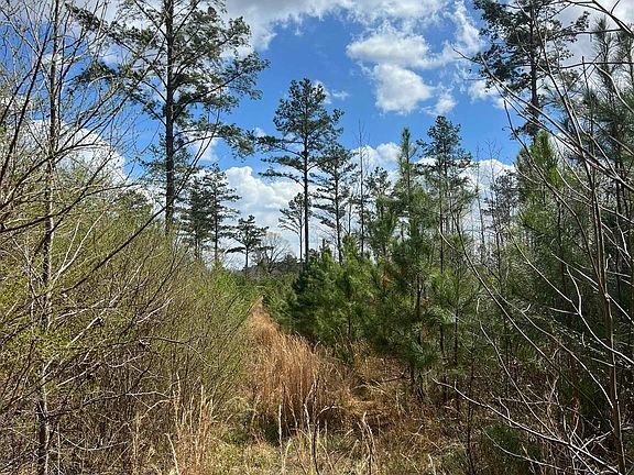 3rd image of Parker Rd