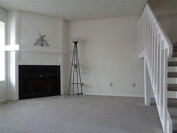 Wood-burning Fireplace in Living Room