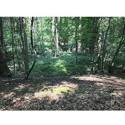 5th image of 5407 Nurmi Dr