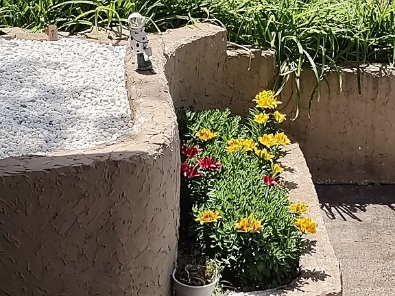 Front entry flower bed