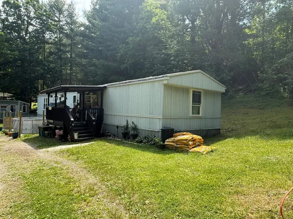 8202 Ivanhoe Rd, Ivanhoe, VA 24350