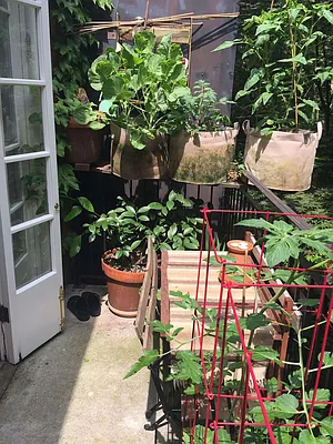 Rented by Avenue Sotheby's International Realty | media 47