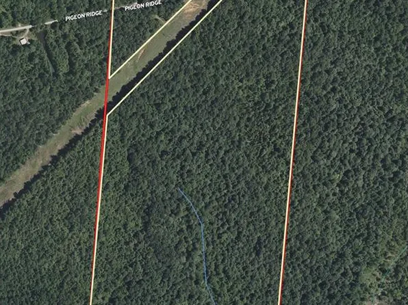 0 Pigeon Ridge Ln, Beaver Dam, KY 42320