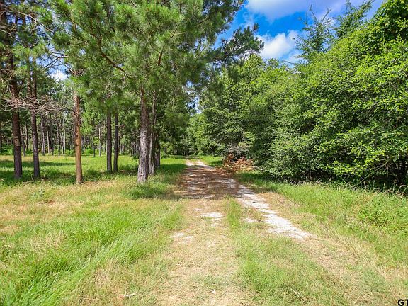 4th image of 1950 Buckhorn Creek Dr