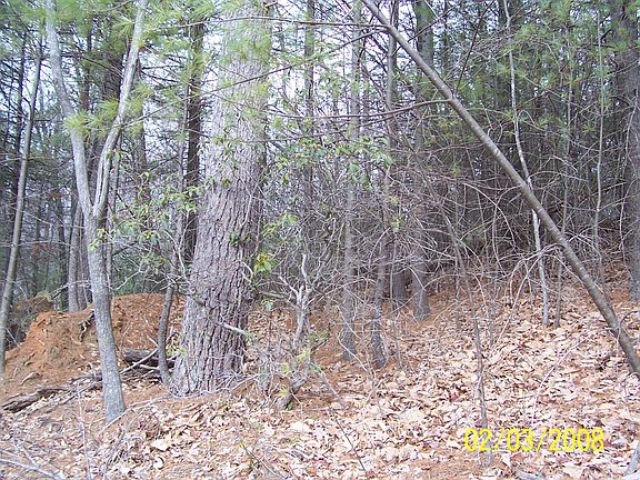 5th image of Lot 16 Turkey Trail McGrady Nc