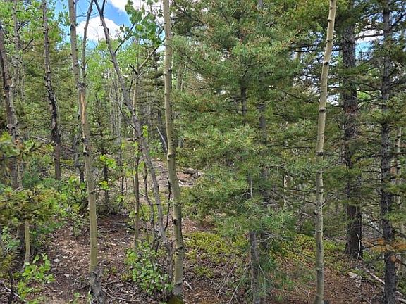 5th image of Lot 6803 Ryland Road