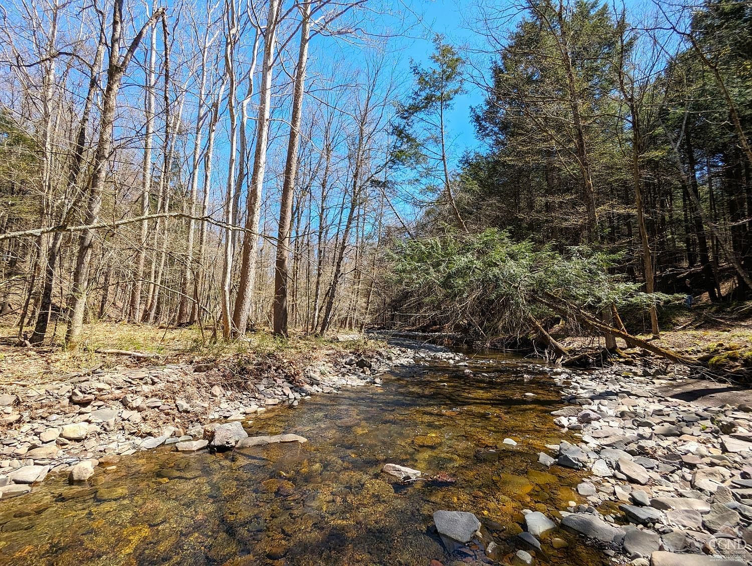 0 Golden Hill Rd, Cornwallville, NY 12418 MLS 152498 Zillow