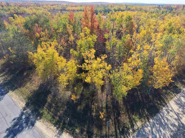 11600 Pencil Lake Rd, Elmira, MI 49730