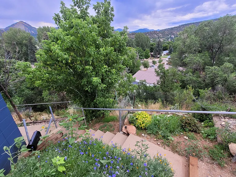 Stairs to the lower half of the house/rental