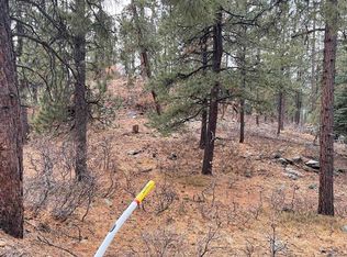 11 Blue Ridge Loop, Bayfield, CO 81122