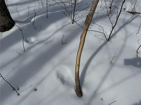 5th image of OOO COUNTY RD. F