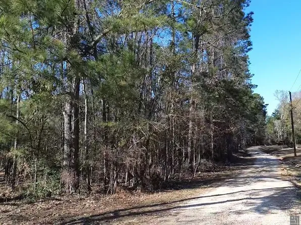 TRACT & B McClendon Ln #A, Amite, LA 70422