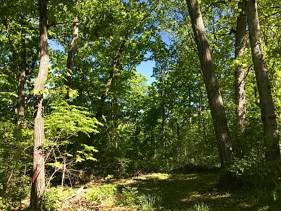 Back view of the lot