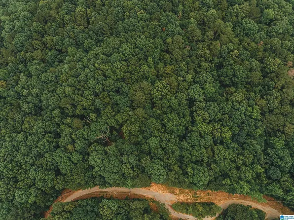 0 Wendwood Cir #12.55, Munford, AL 36268