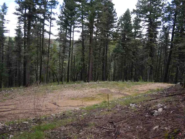 40-40 Elk Spgs #41, Cloudcroft, NM 88317