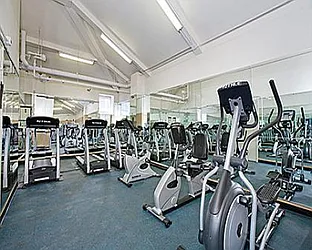 Rented by Olshan Realty