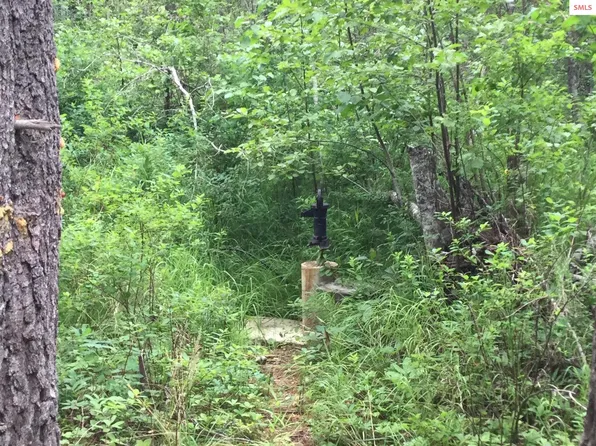 158 Dubius Creek Rd, Priest River, ID 83856