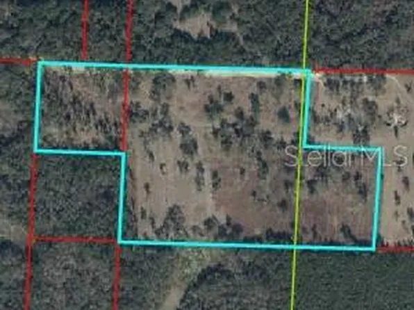 NE 172nd Ct, Williston, FL 32696