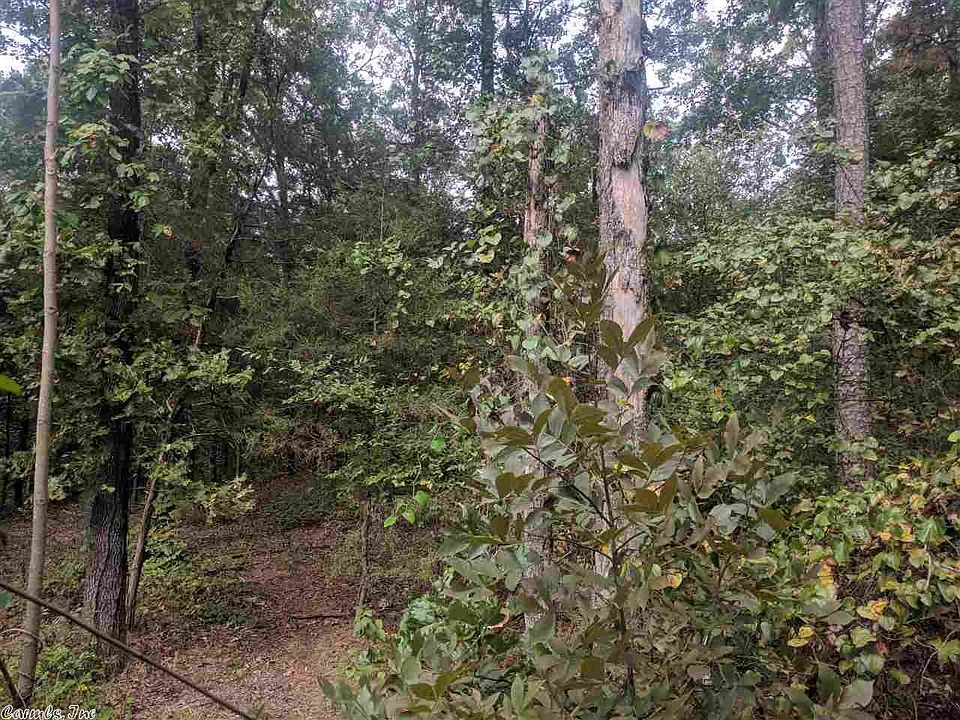 2nd image of 191 Sims Hollow Rd