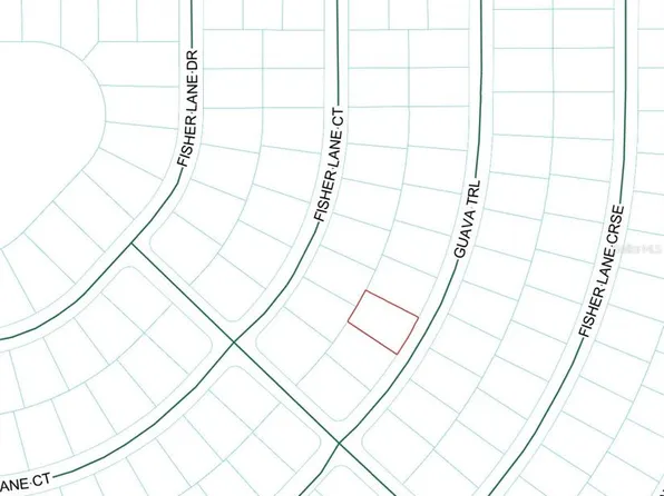GUAVA TRAIL LOT 21, OCKLAWAHA, FL 32179